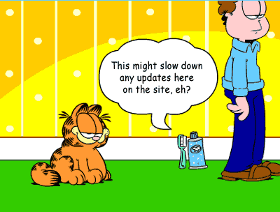 don't sue me garfield